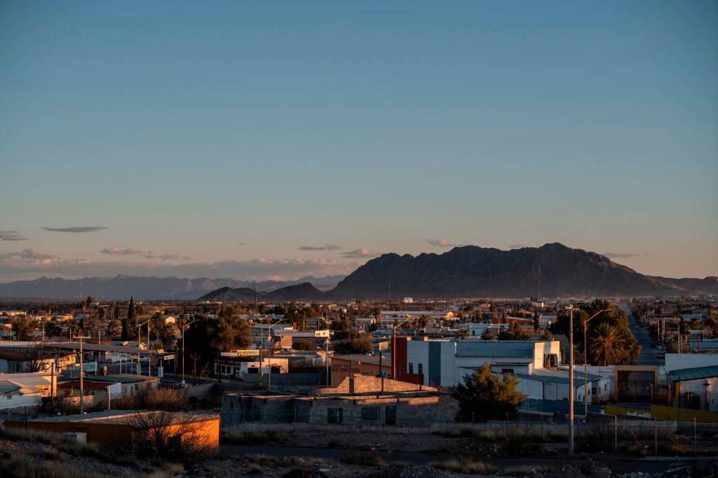 Picture of Chihuahua