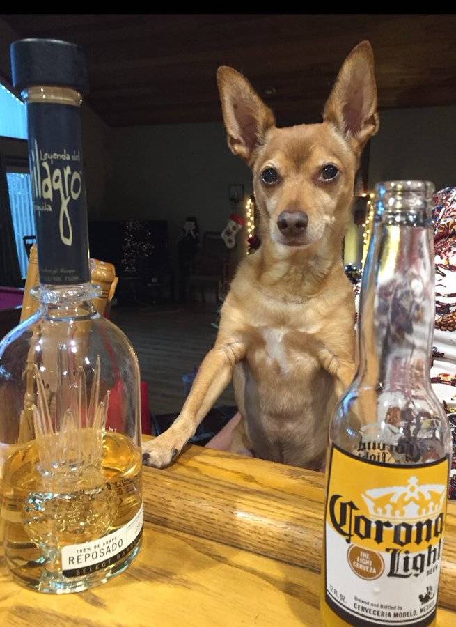 baxter. and the alcohol