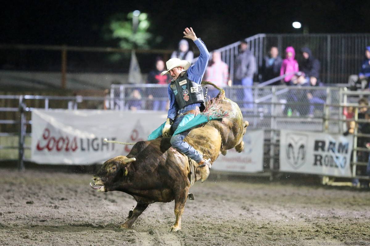 professional bull riding