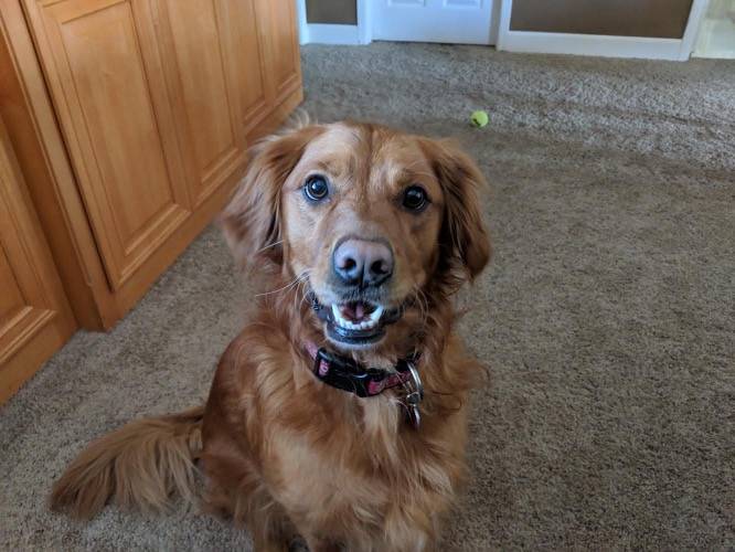 jessy the smiley girl