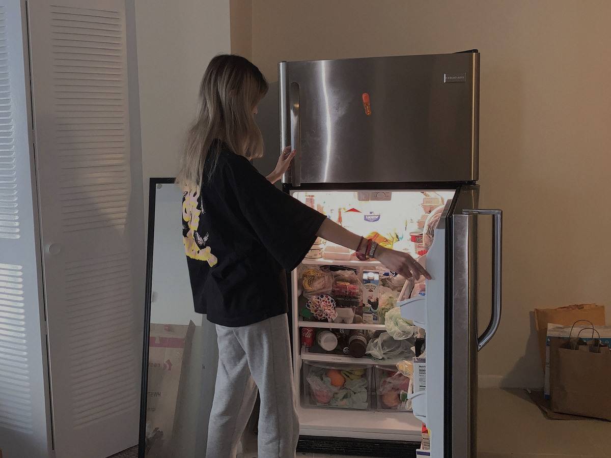 Clean Off The Refrigerator Handle