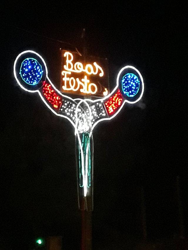 light up christmas design looks like ovaries