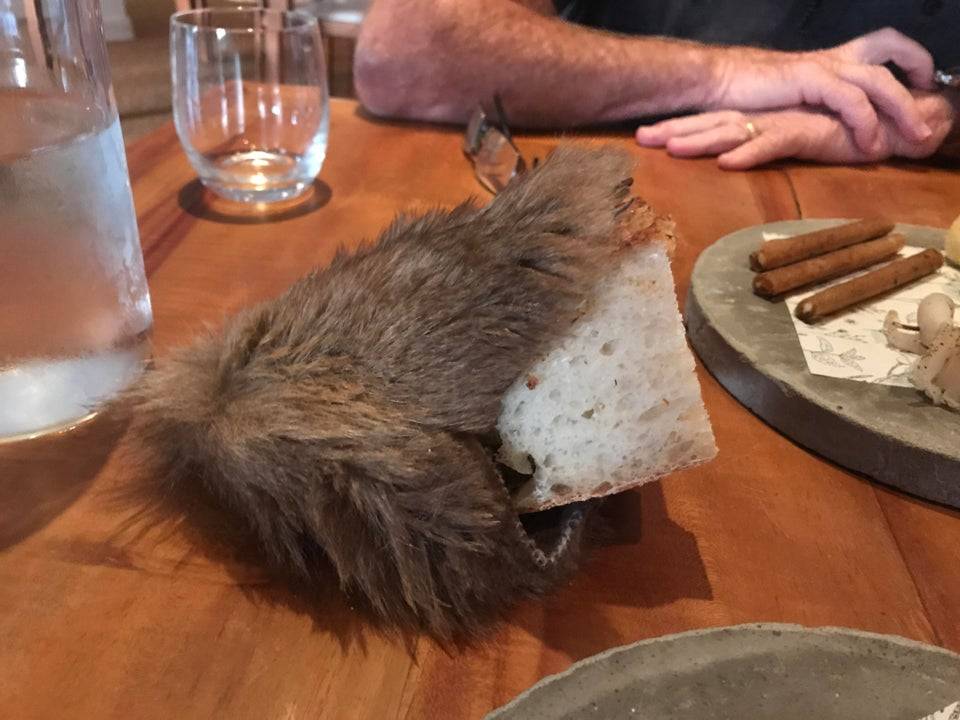 bread served inside roadkill piece