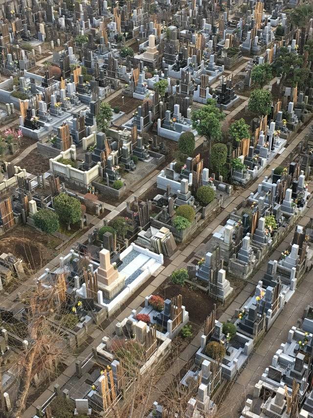 cemetery cityscape view from a hotel window