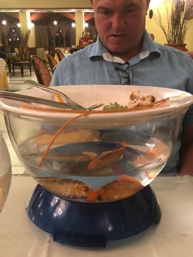food served on top of fish bowl