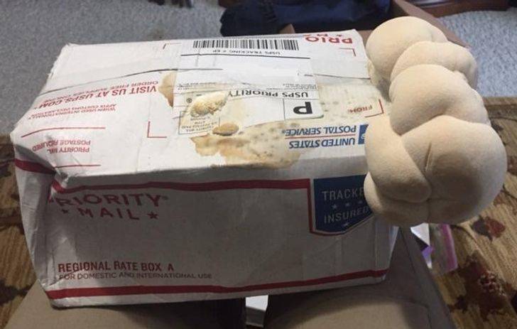 package with mushrooms growing out of it