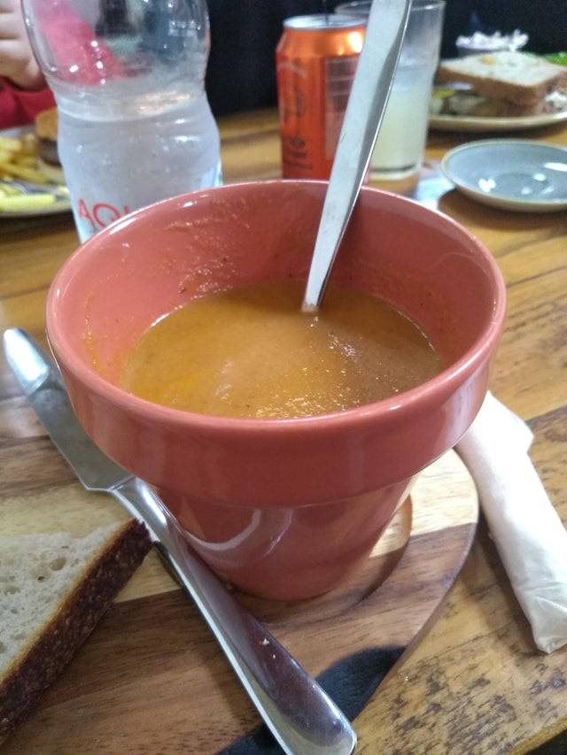 soup served in plant pot