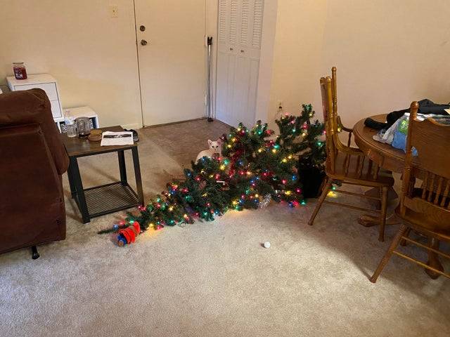 christmas tree fell over