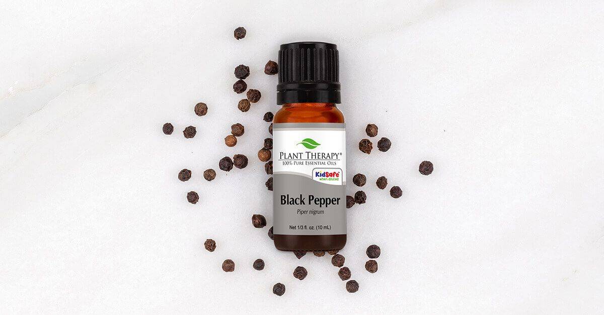 A container of Plant Therapy black pepper essential oil lies on black peppercorns.