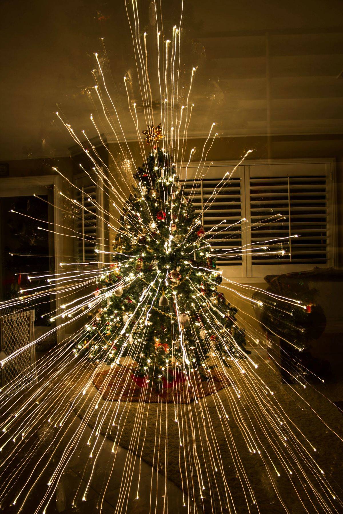 zooming out on christmas tree photo