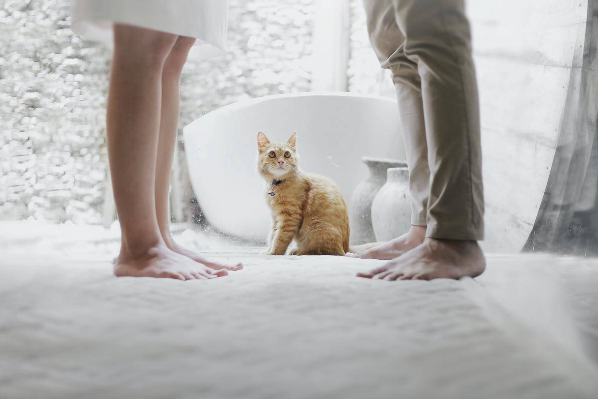 cat stands between man and woman's feet
