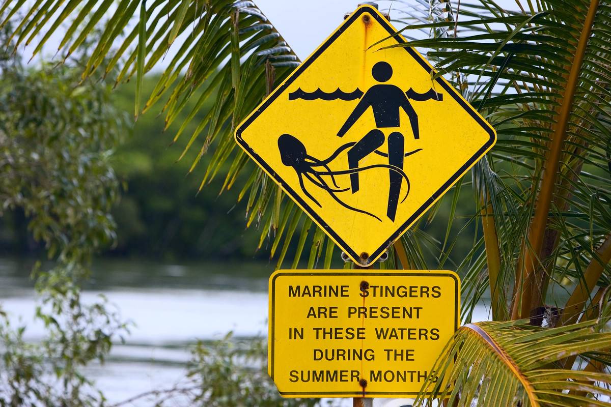 A sign warns tourists of jellyfish-infested waters in Cape Tribulation, Australia.