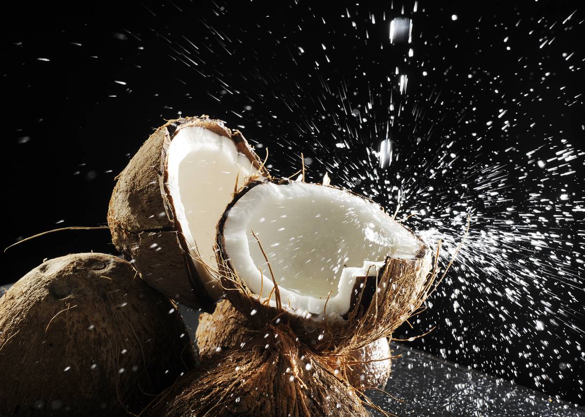 Photo Illustration on the new popularity of coconut water for healthy electrolyte replacement for on Tuesday, January 11, 2011. Cyrus McCrimmon, The Denver Post