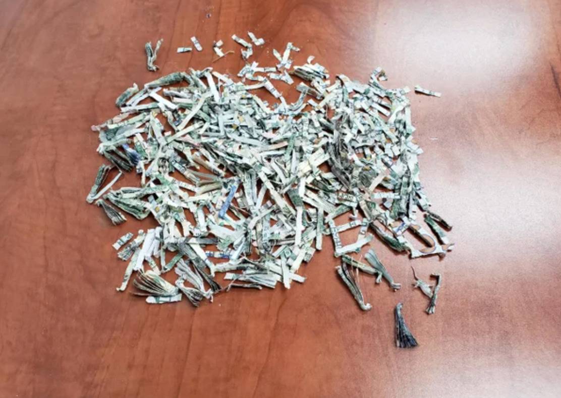 shredded money in little strips