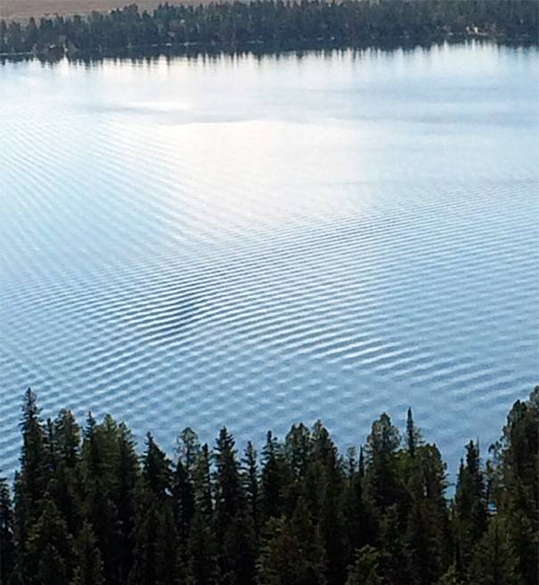 The waves on a lake look like a perfect interference pattern.