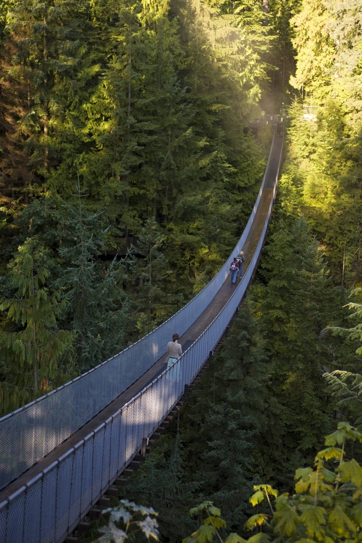 Capilano Suspension Bridge Was Once Cedar Planks & Hemp