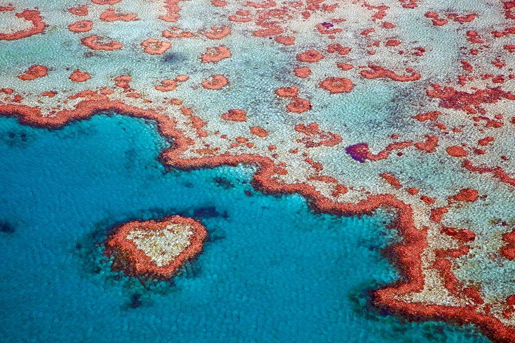 Picture of the Great Barrier Reef 