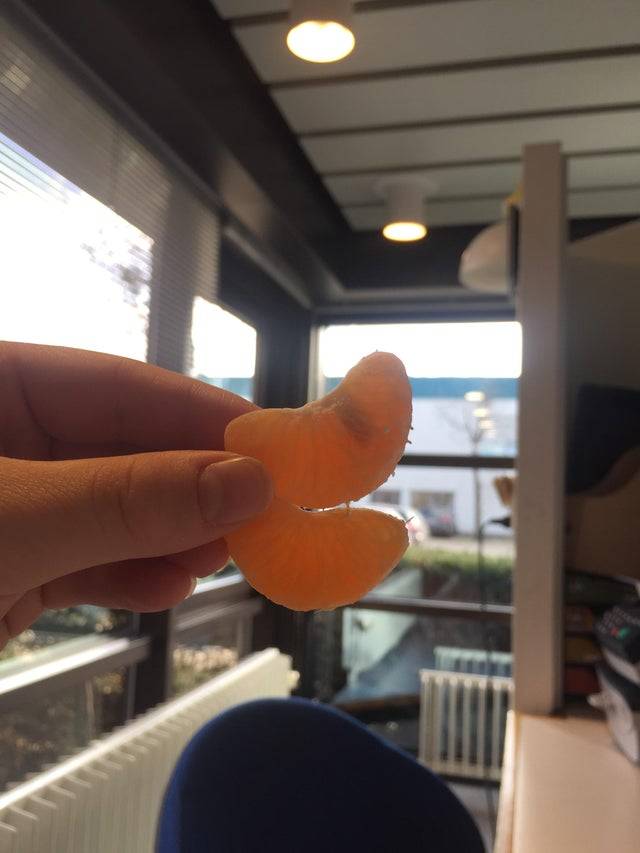 orange segments held up to the light