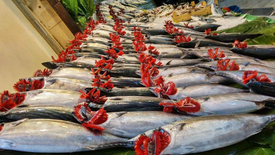 fish market showing red fish gills
