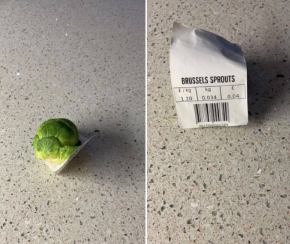 person with singular brussel sprout with label
