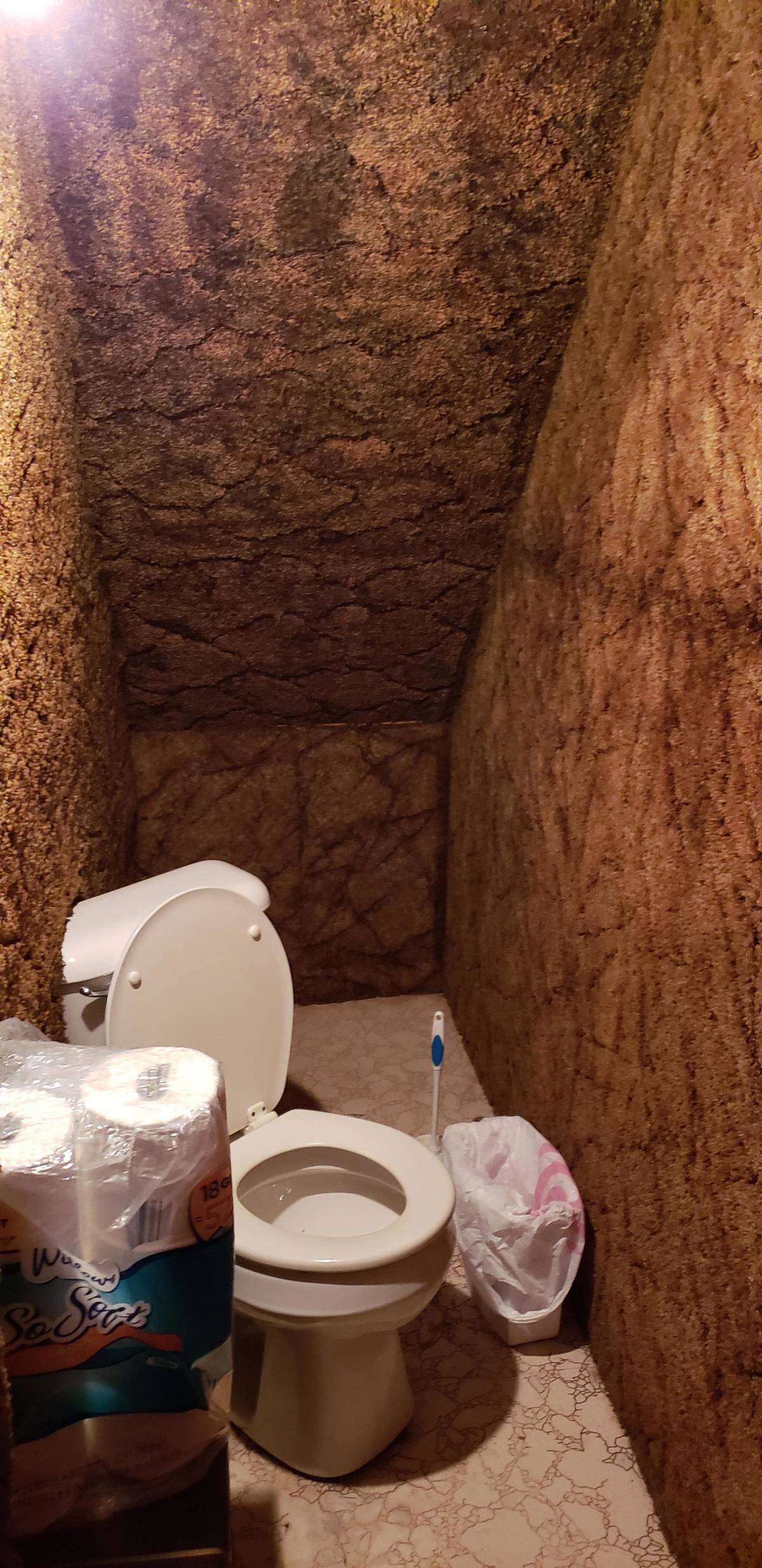 toilet surrounded by carpeted walls