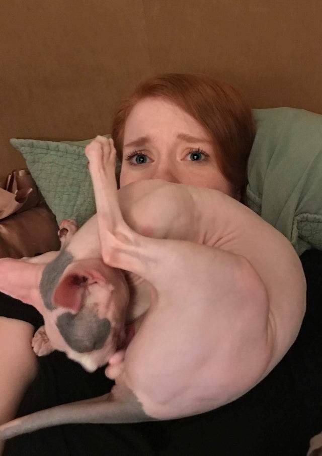 a cat washing their underneath right in a person's face 