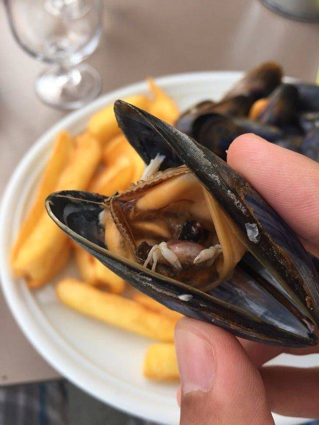 mussel with a tiny crab inside