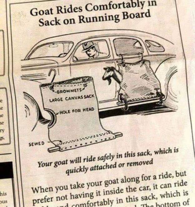 advertisement for goat riding on running board on car