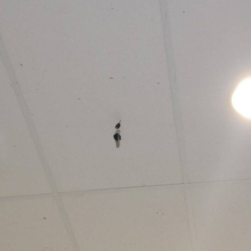 someone's keys stuck in the ceiling 
