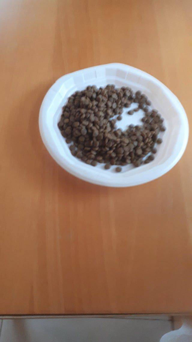 kid eats dog food thinking it was cereal