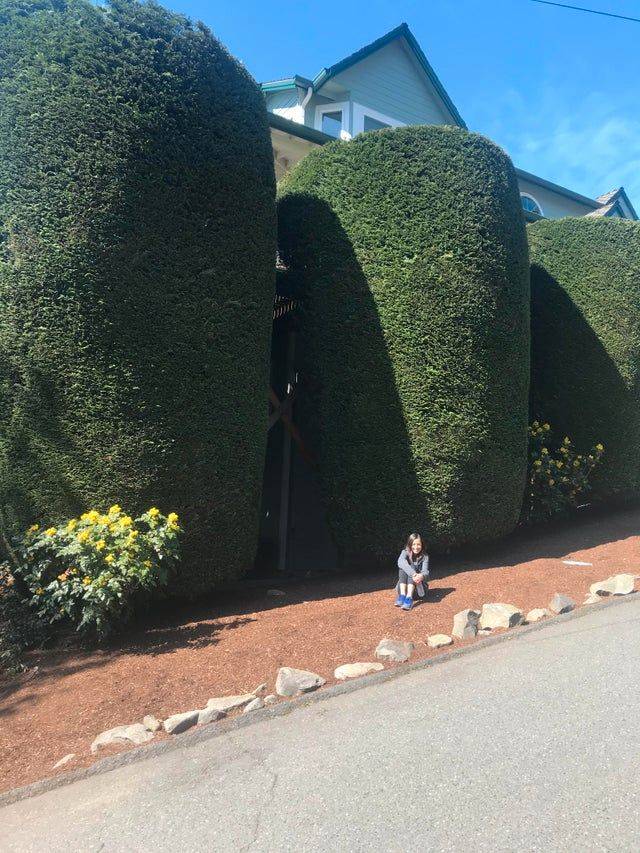 girl sitting beside massive hedges