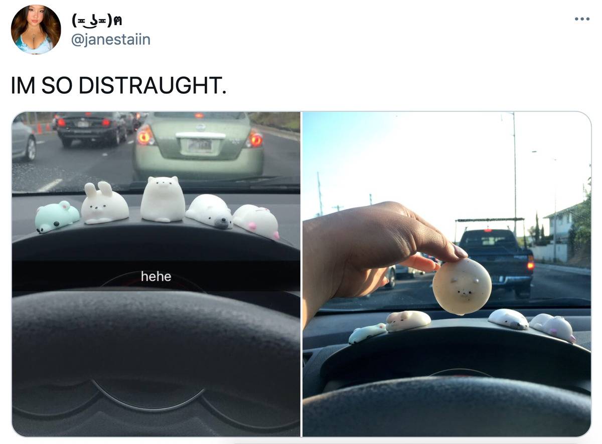Tweet: I'm so distraught (pictured is a before and after picture of little plastic animals that melted on someone's dashboard) 