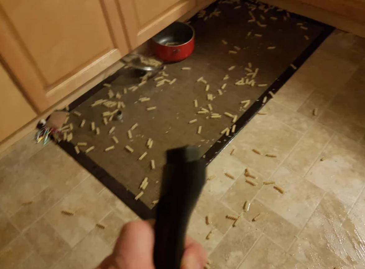 person holding pot handle that has broken off of pot that has fallen off and there is pasta all over the floor