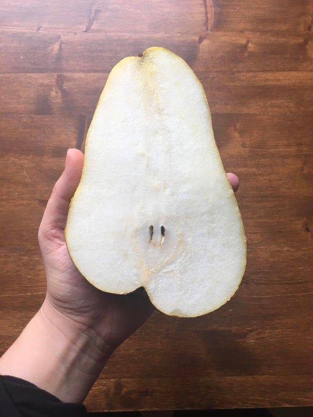 pear is giant and thick