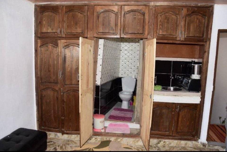 toilet in the closet