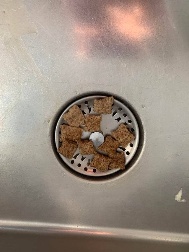cereal pieces left in the sink drain