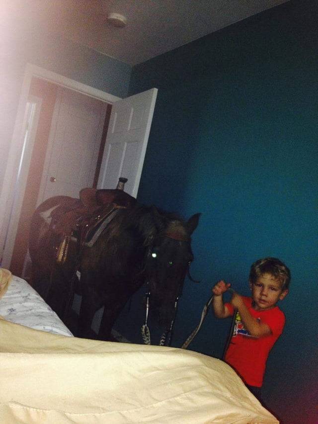 horse in bedroom brought by kid