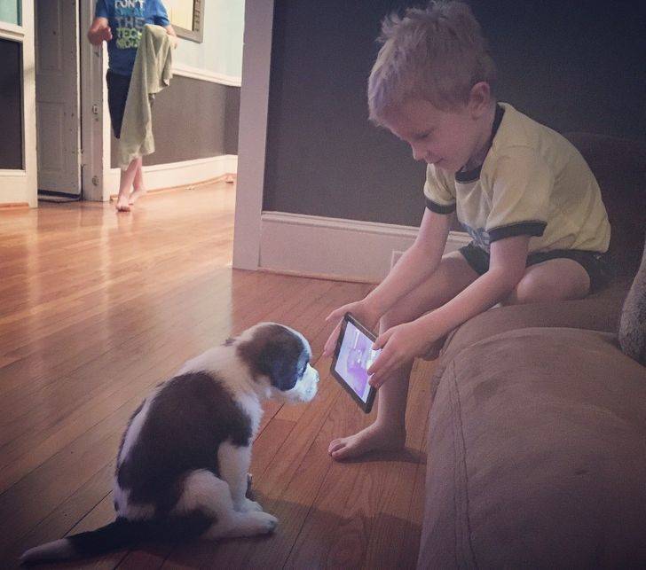 Kid showing his dog training videos on iPad