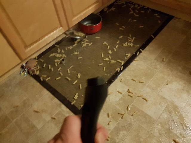 broken pan with pasta all over the ground