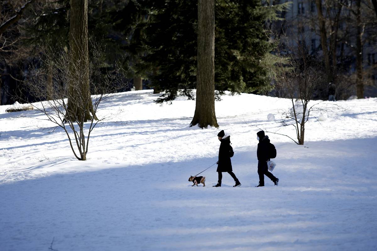 Sunny day before more Snow iA couple walks whit a dog in Central Park covered by snow and ice on February 21, 2021 in New York City. The big apple waits this Mondays expecting in New York
