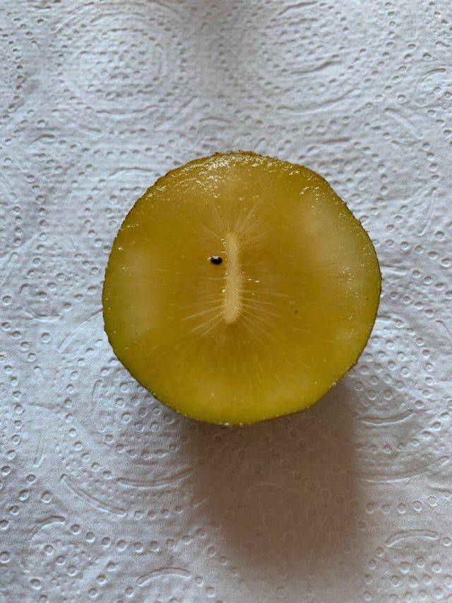 one seed in kiwi