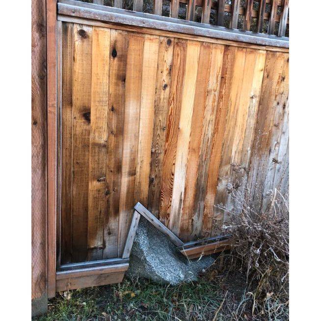 hole in fence