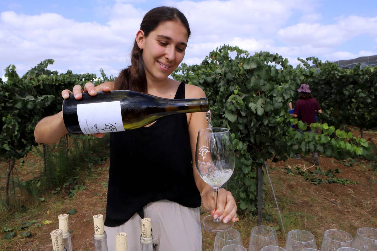 Wine is being served for Israeli volunteers
