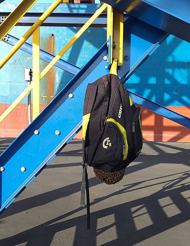 backpack hanging from metal railing with a bunch of bees swarmed on the bottom