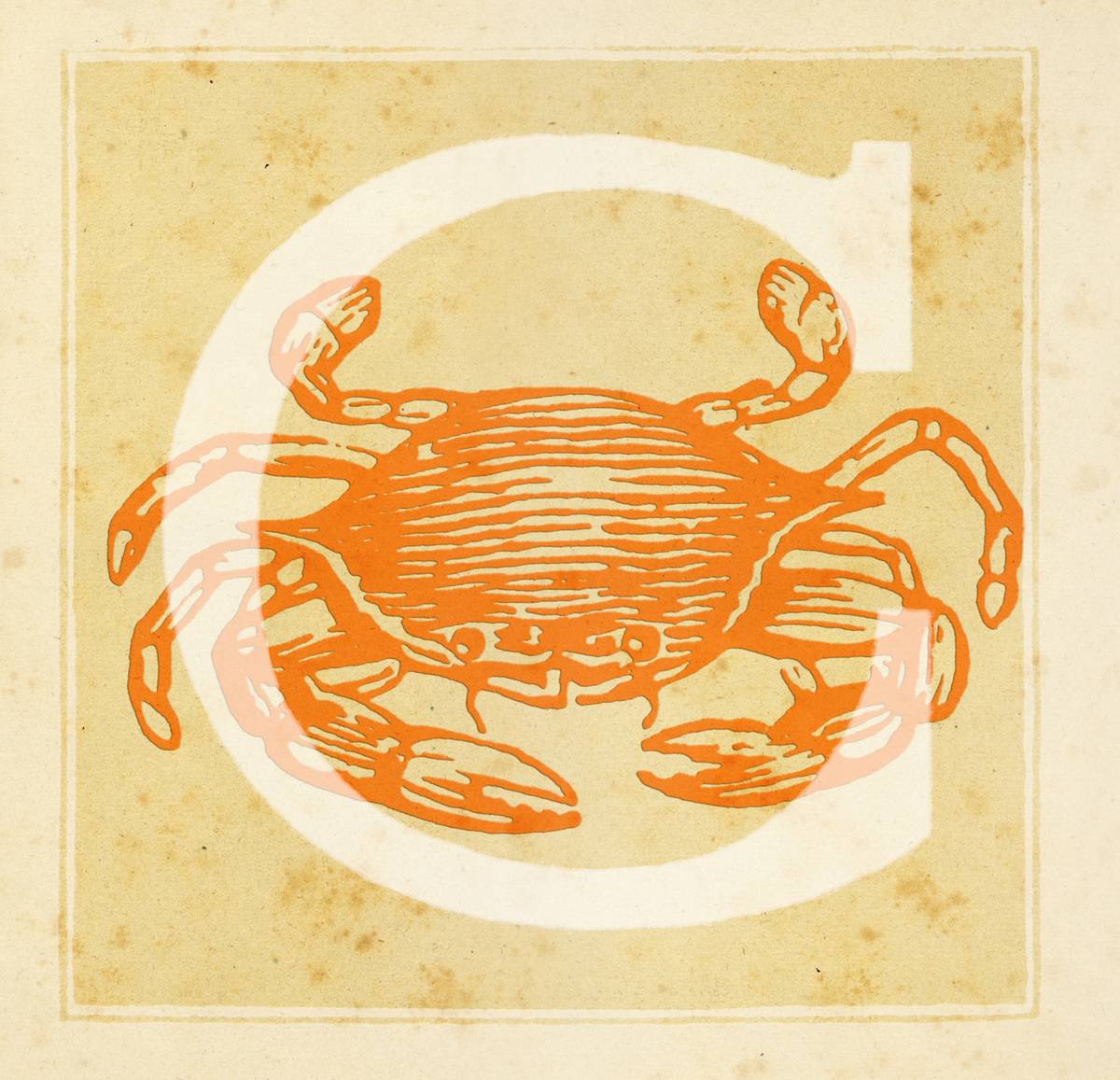 Capital letter C with Zodiacal Cancer Sign - The Crab 