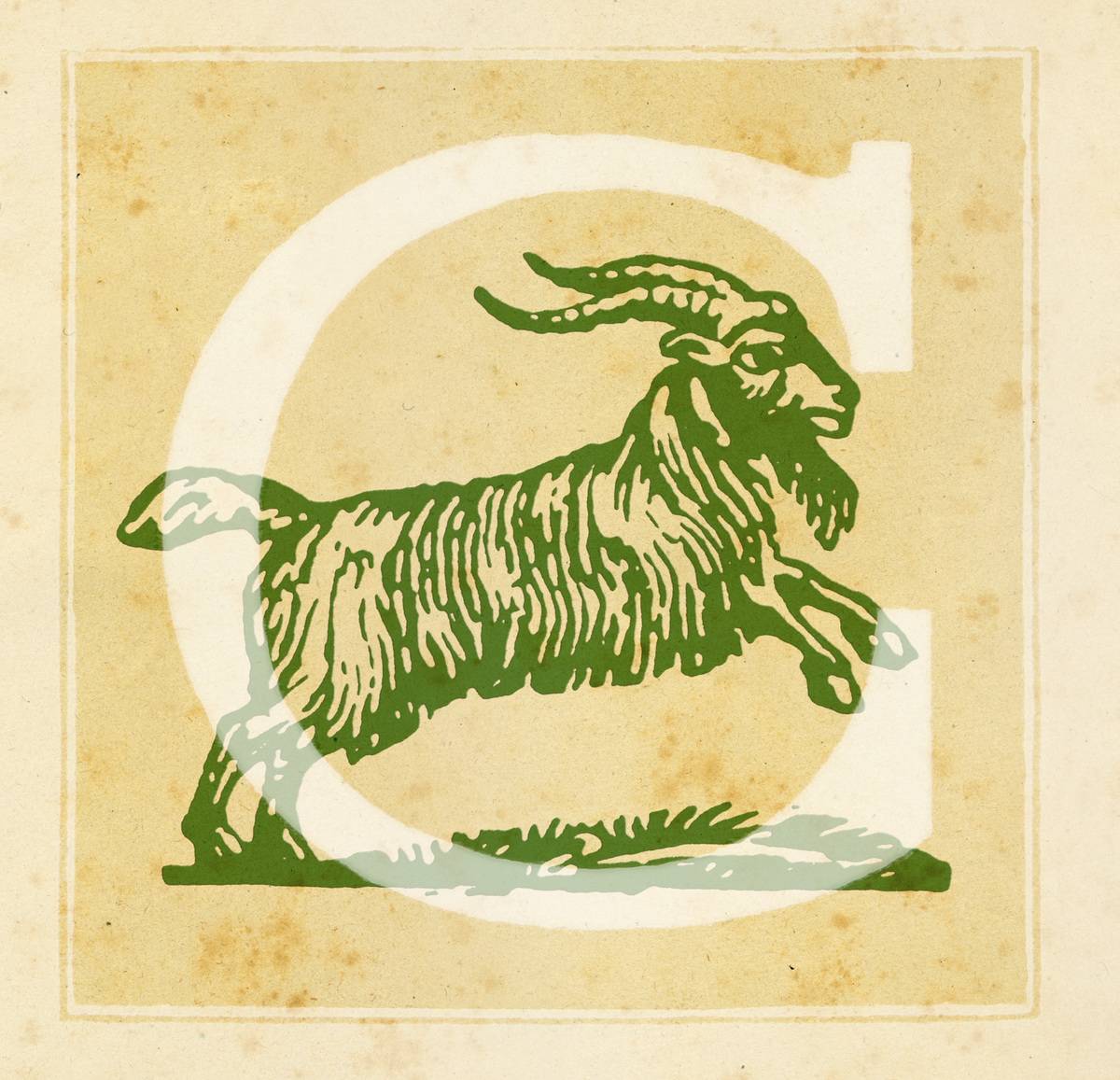 Capital letter C with Capricorn Zodiac sign