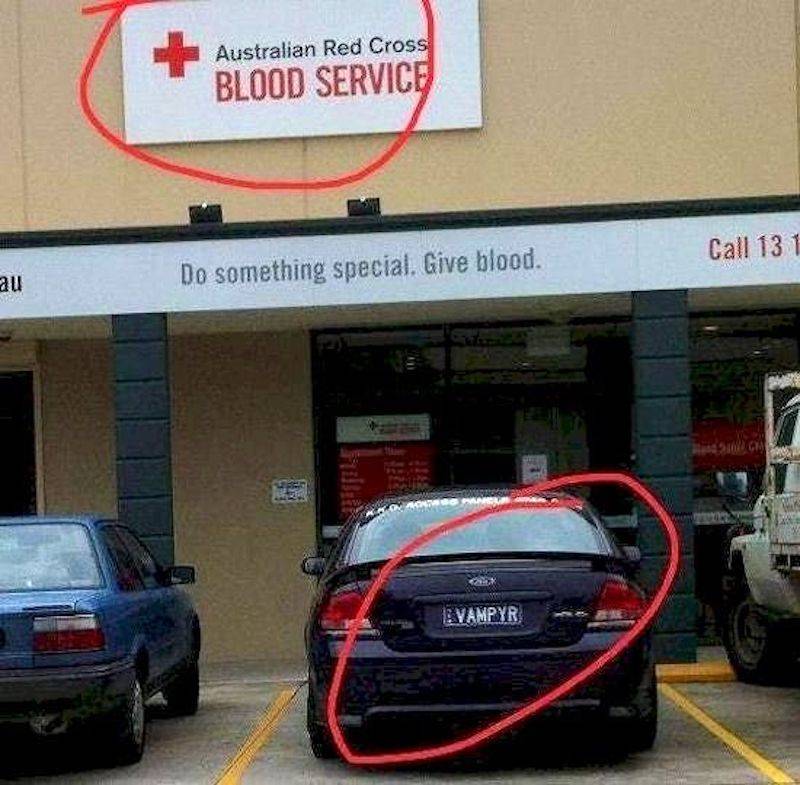 vampyre license plate