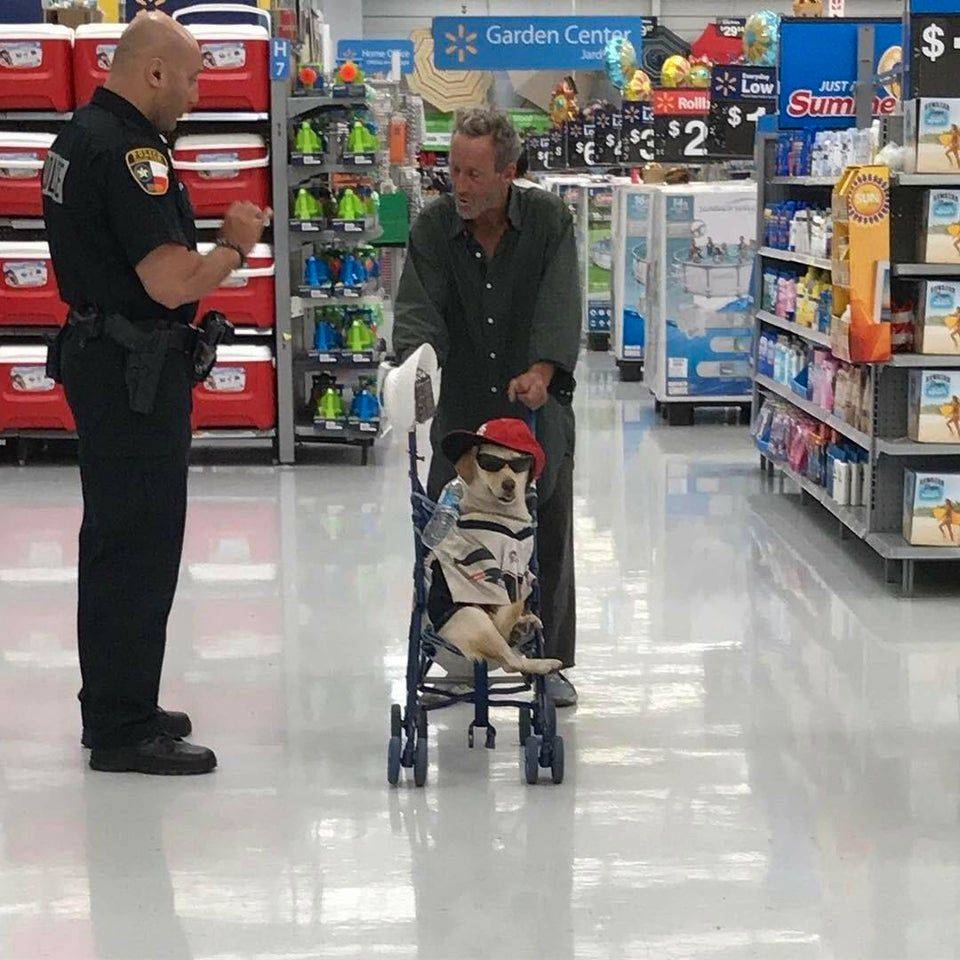 guy with dog in stroller with a hat and sunglasses on talking to a police officer