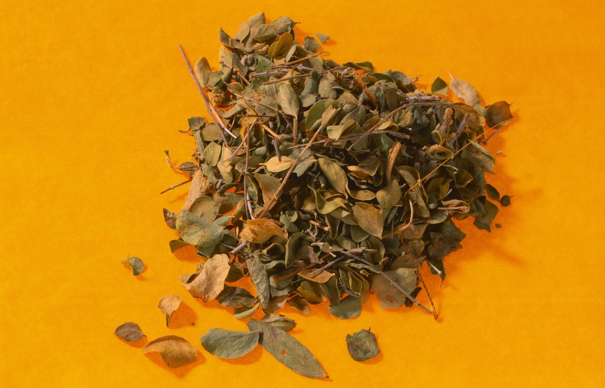 Food, spices, Oregano