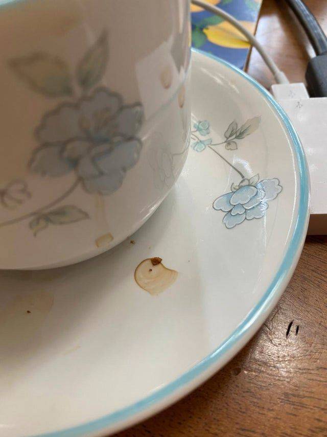 coffee bird head on saucer